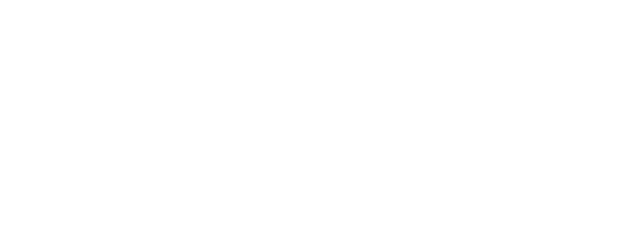 Lite Flight Footer Logo