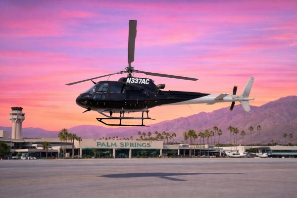 Lite Flight - Desert Festival Charter Flights - Image 1