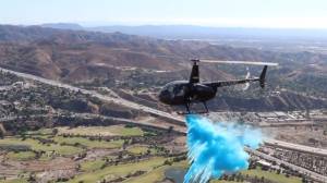 Gender Reveal - Lite Flight