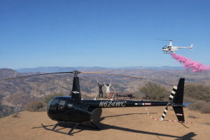 Gender Reveal - Lite Flight