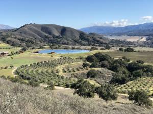 Lite Flight - Grimm’s Bluff Winery Helicopter Experience - Image 6